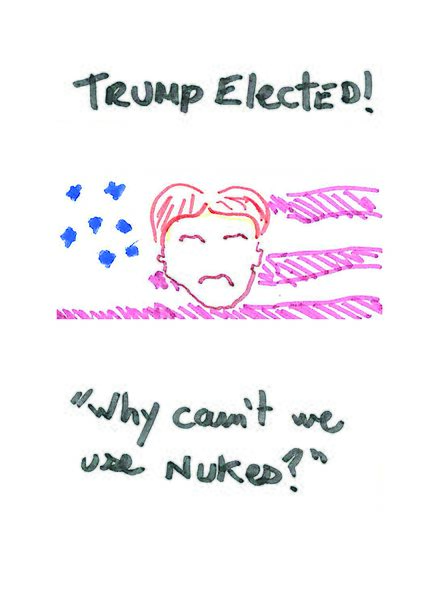 Fichier:D2-s.Trump elected.jpg